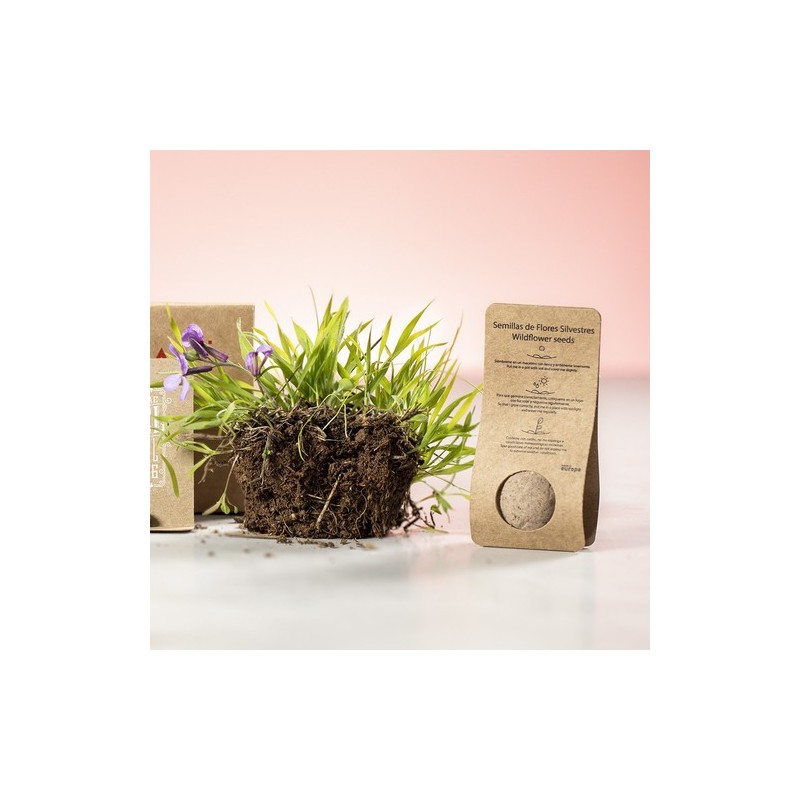 Bonbon Éco-responsable aux Graines Fleurs Sauvages Personnalisé Mussox pas cher Matières : carton recyclé objet promotionnel éco