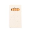 Boîte Éco-responsable de Crayons Ensemencés Personnalisée Delar personnalisable avec votre logo