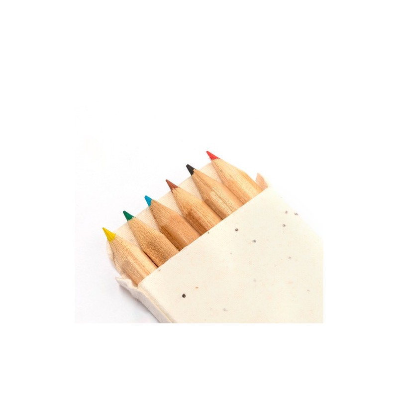 Boîte Éco-responsable de Crayons Ensemencés Personnalisée Delar marquage laser ultra précis