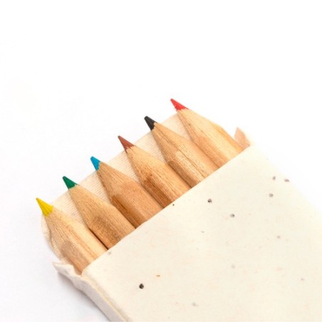 Boîte Éco-responsable de Crayons Ensemencés Personnalisée Delar marquage laser ultra précis