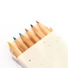 Boîte Éco-responsable de Crayons Ensemencés Personnalisée Delar marquage laser ultra précis