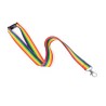 Lanyard Publicitaire Personnalisé Mapik Matières : polyester Couleurs : rainbow marquage laser ultra précis