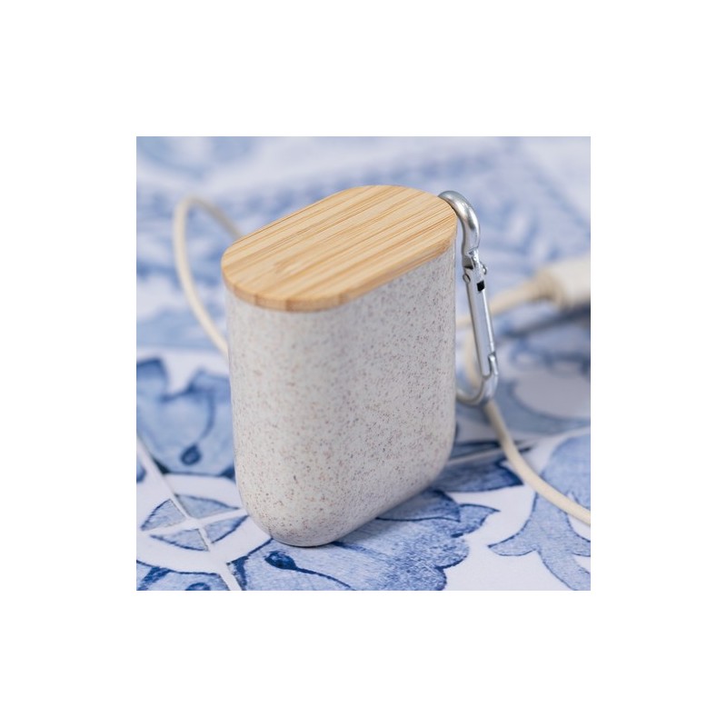 Câble de Charge Éco-responsable et Pratique Personnalisé Brayce Matières : ABS Couleurs : naturel livraison express 24h 48h