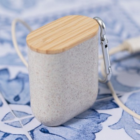 Câble de Charge Éco-responsable et Pratique Personnalisé Brayce Matières : ABS Couleurs : naturel livraison express 24h 48h
