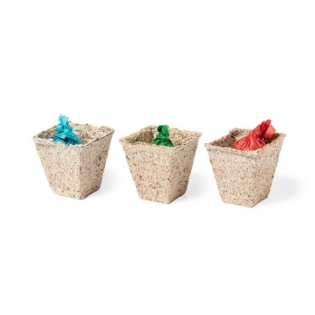 Kit Éco-responsable de Herbes Aromatiques Personnalisé Mendrax Matières : bois cadeau entreprise pas cher