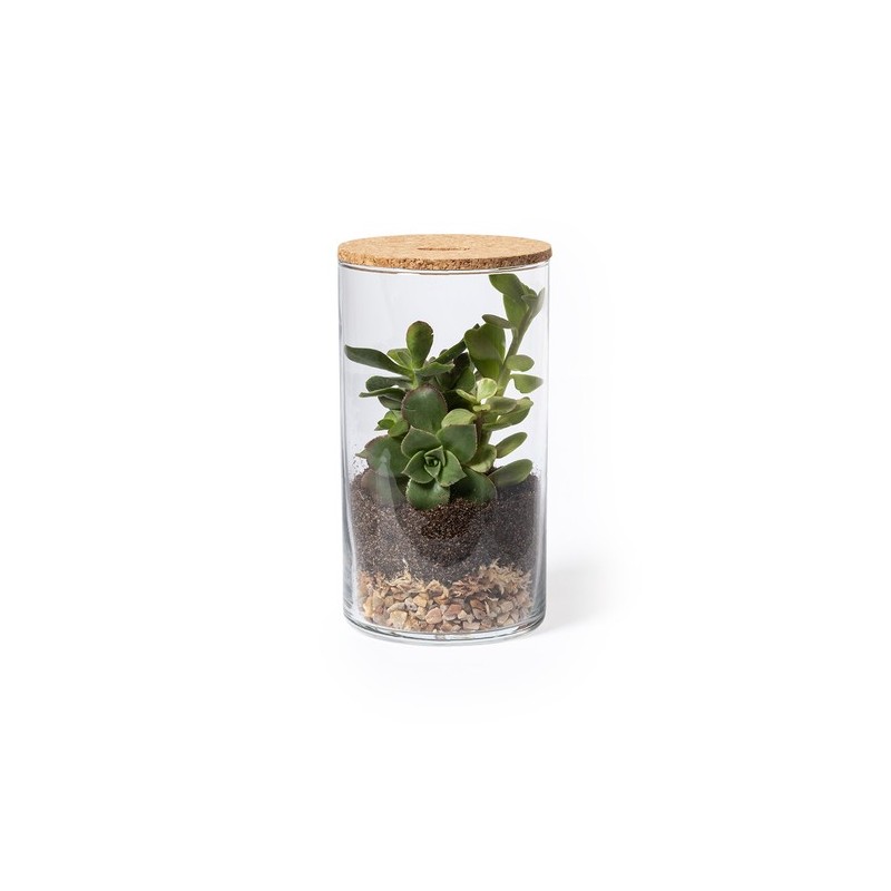 Terrarium design personnalisé pas cher Anymak Matières : liège cadeau entreprise pas cher