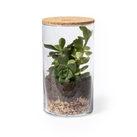 Terrarium design personnalisé pas cher Anymak Matières : liège cadeau entreprise pas cher