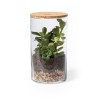 Terrarium design personnalisé pas cher Anymak Matières : liège cadeau entreprise pas cher