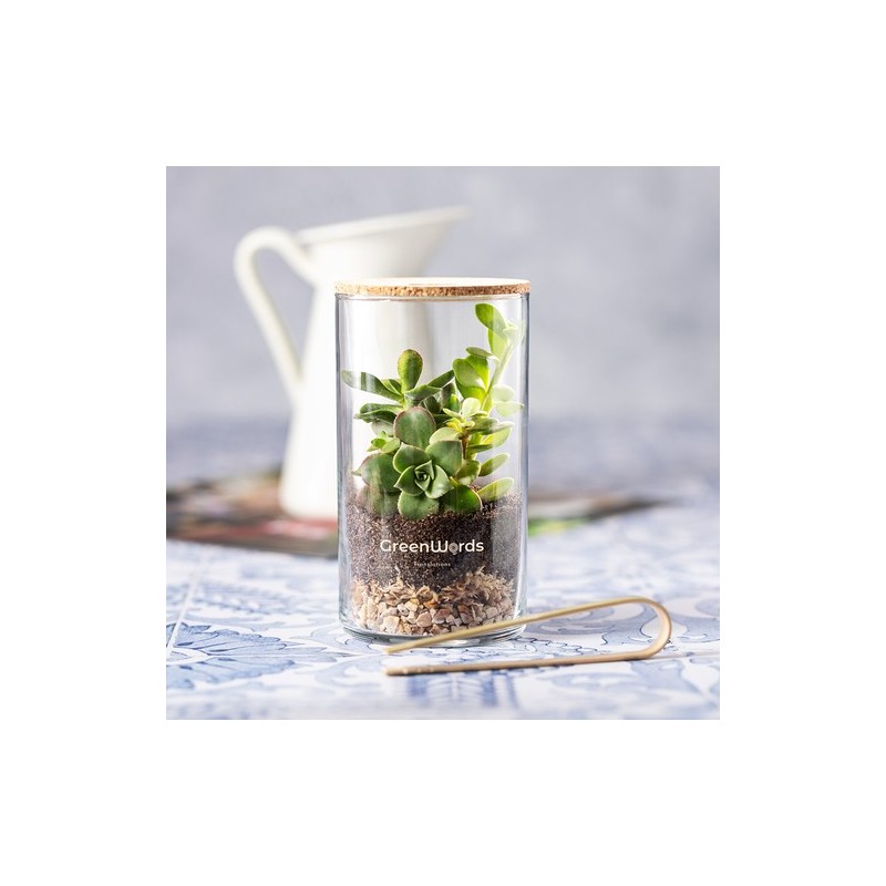 Terrarium design personnalisé pas cher Anymak Matières : liège impression haute définition