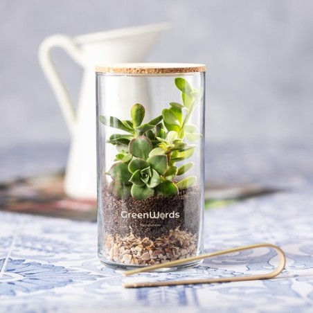 Terrarium design personnalisé pas cher Anymak Matières : liège impression haute définition