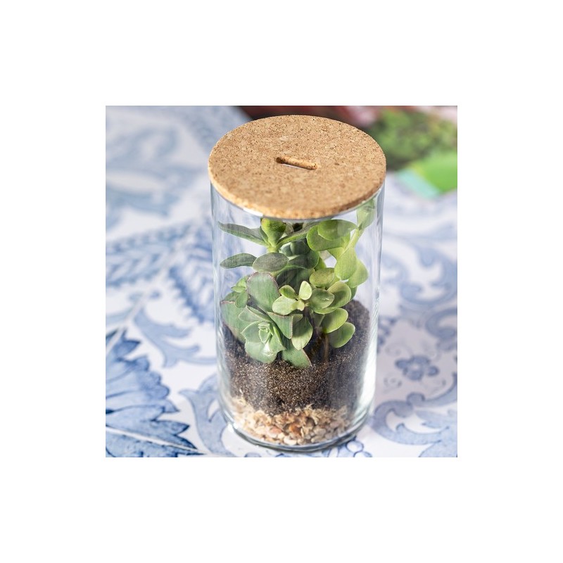 Terrarium design personnalisé pas cher Anymak Matières : liège marquage laser ultra précis