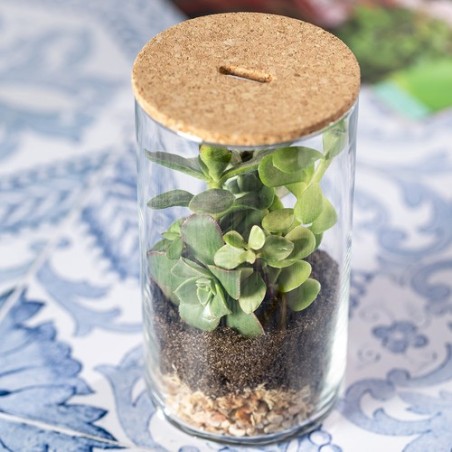 Terrarium design personnalisé pas cher Anymak Matières : liège marquage laser ultra précis