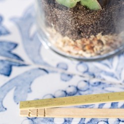 Terrarium design personnalisé pas cher Anymak Matières : liège livraison express 24h 48h