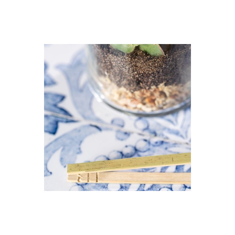 Terrarium design personnalisé pas cher Anymak Matières : liège livraison express 24h 48h