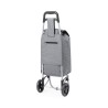 Sac Éco-responsable et Pliable Personnalisé de Caddie Course Daggio Couleurs : gris Matières : polyester recyclé