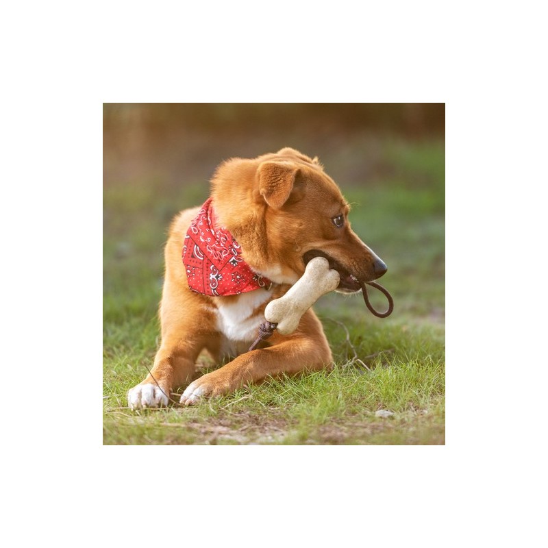 Jouet Durable pour Animaux de Compagnie Salmer