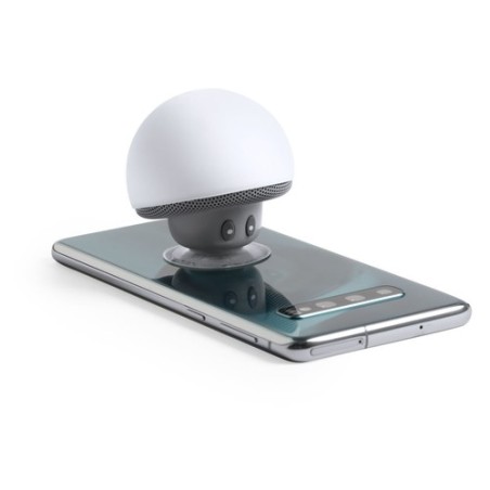 Haut-Parleur Wanap : Design et Performance