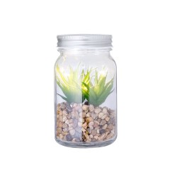 Plante Décorative Luxe Éco-responsable Personnalisée Kyala Matières : verre