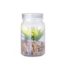 Plante Décorative Luxe Éco-responsable Personnalisée Kyala Matières : verre