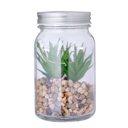 Plante Décorative Luxe Éco-responsable Personnalisée Kyala Matières : verre 2