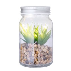Plante Décorative Luxe Éco-responsable Personnalisée Kyala Matières : verre cadeau entreprise pas cher