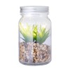 Plante Décorative Luxe Éco-responsable Personnalisée Kyala Matières : verre cadeau entreprise pas cher