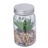 Plante Décorative Luxe Éco-responsable Personnalisée Kyala Matières : verre goodies publicitaire événementiel