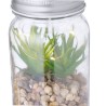 Plante Décorative Luxe Éco-responsable Personnalisée Kyala Matières : verre impression haute définition