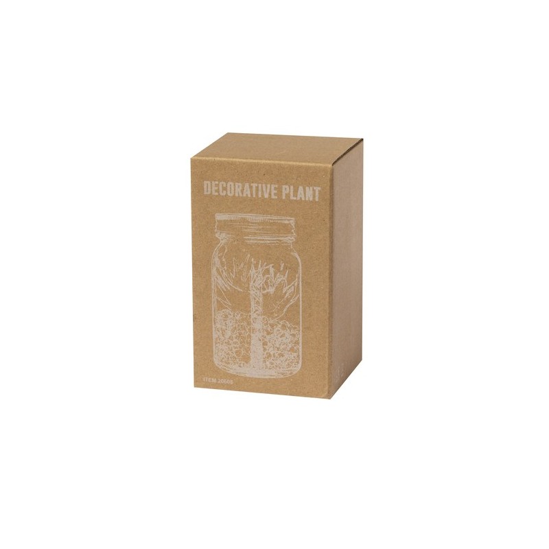 Plante Décorative Luxe Éco-responsable Personnalisée Kyala Matières : verre livraison express 24h 48h