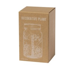 Plante Décorative Luxe Éco-responsable Personnalisée Kyala Matières : verre objet promotionnel éco-responsable