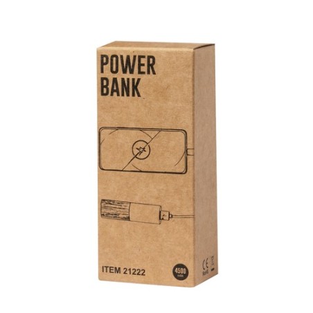 Power Bank Reneh - Écologique et Pratique