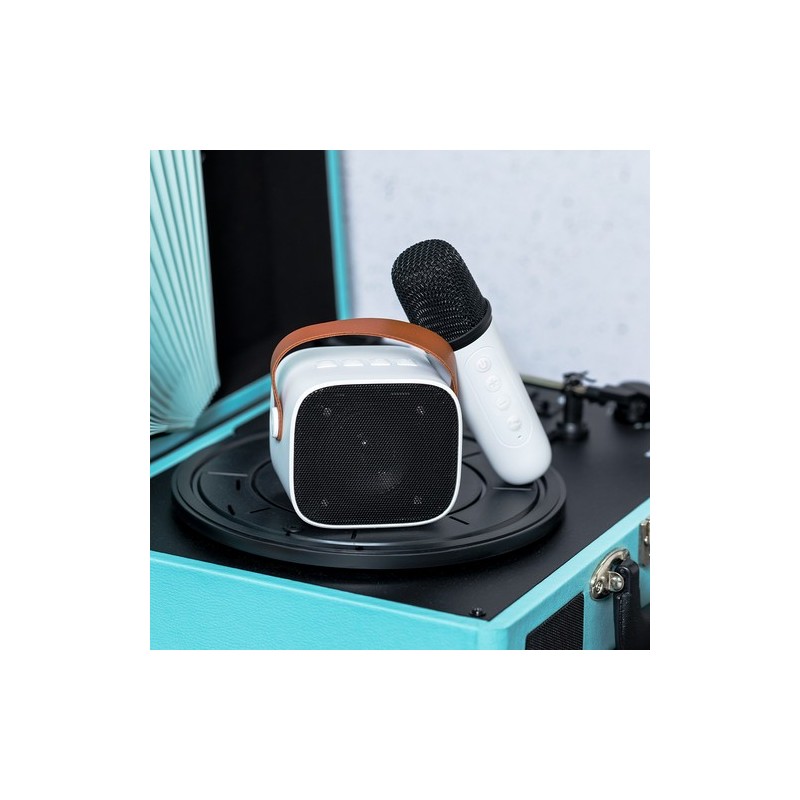 Haut-Parleurs Karaoke Sophie - Amusez-vous n'importe où !