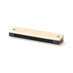 Harmonica Personnalisé de Musique Éco-responsable Blues 2