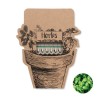 Bâtons personnalisés de graines d'herbes aromatiques pas cher - LEYTI Matières : papier Couleurs : beige