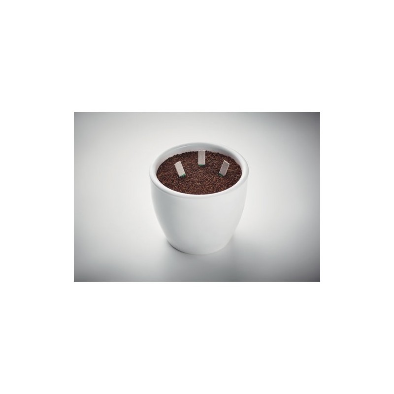 Bâtons de graines d'herbes LEYTI - Un jardin à portée de main