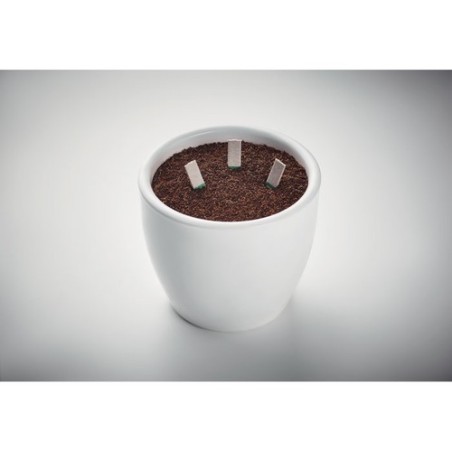 Bâtons de graines d'herbes LEYTI - Un jardin à portée de main