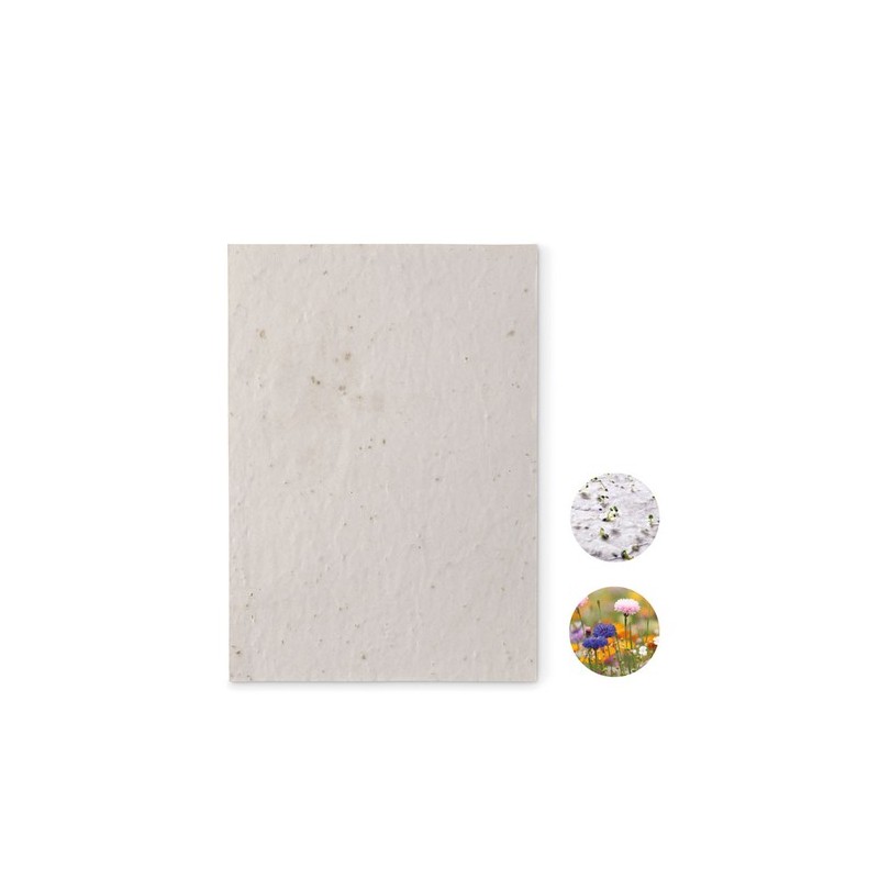 Papier A5 Éco-responsable et Pratique aux Graines de Fleurs - ASIDE Matières : papier recyclé Couleurs : blanc