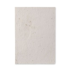 Papier A5 Éco-responsable et Pratique aux Graines de Fleurs - ASIDE Matières : papier recyclé Couleurs : blanc 2