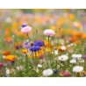 Papier A5 Éco-responsable et Pratique aux Graines de Fleurs - ASIDE Matières : papier recyclé Couleurs : blanc cadeau entreprise