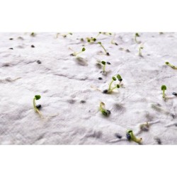 Papier A5 Éco-responsable et Pratique aux Graines de Fleurs - ASIDE Matières : papier recyclé Couleurs : blanc goodies publicita