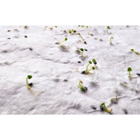 Papier A5 Éco-responsable et Pratique aux Graines de Fleurs - ASIDE Matières : papier recyclé Couleurs : blanc goodies publicita