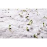 Papier A5 Éco-responsable et Pratique aux Graines de Fleurs - ASIDE Matières : papier recyclé Couleurs : blanc goodies publicita