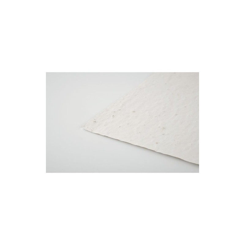 Papier A5 Éco-responsable et Pratique aux Graines de Fleurs - ASIDE Matières : papier recyclé Couleurs : blanc impression haute 