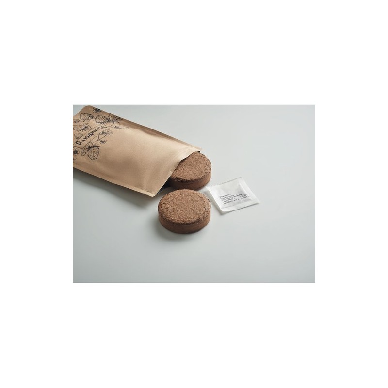 Kit de Culture Éco-responsable Personnalisé de Fraises - FRESA KIT Matières : papier Couleurs : beige impression haute définitio