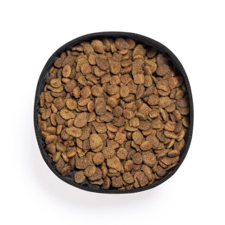 Bol Pliable Poppy : Écologique et Pratique