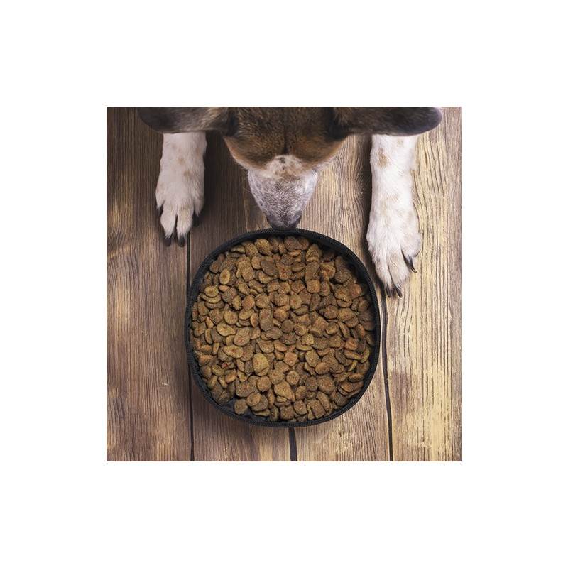 Bol Éco-responsable Pliable pour Animaux Personnalisé Poppy marquage laser ultra précis