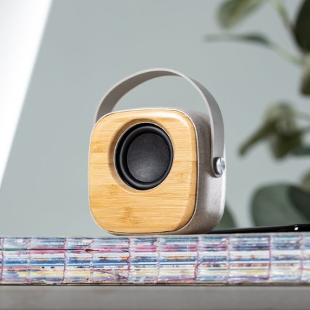 Haut-Parleur Kepir - Écologie et Performance