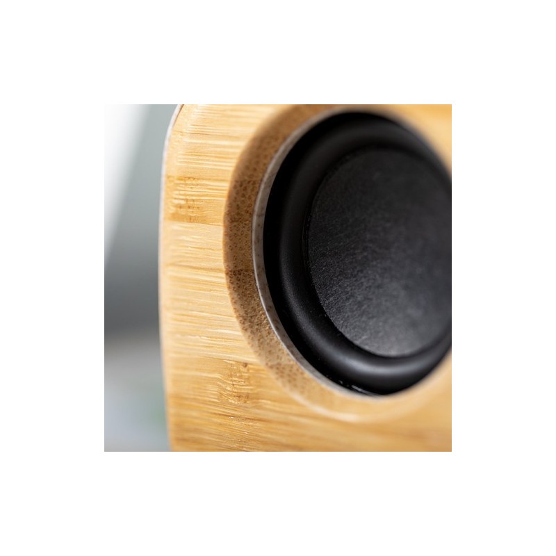 Haut-Parleur Kepir - Écologie et Performance