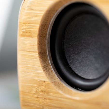 Haut-Parleur Kepir - Écologie et Performance