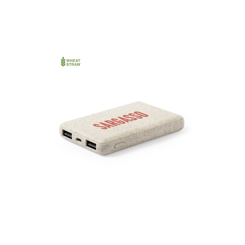 Power Bank Éco-responsable Personnalisé 5000 mAh Pas Cher - Shiden Matières : ABS Couleurs : naturel personnalisable avec votre 